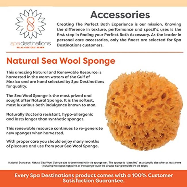 Natural Loofah Exfoliating Bath Sponge by Spa Destinations 3 Pack of