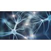 energy booster pills - BRAIN MEMORY BOOSTER - brain memory vitamins - 2 Bottles