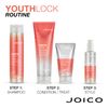 JOICO Youthlock Shampoo 300 ml