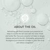 Everyday Essential Oils Kit