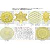 Sacred Geometry Energy Card (Yantra)