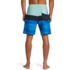 Quiksilver Surfsilk Panel 18" - Boardshorts für Männer Blau