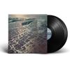 Shore [VINYL]