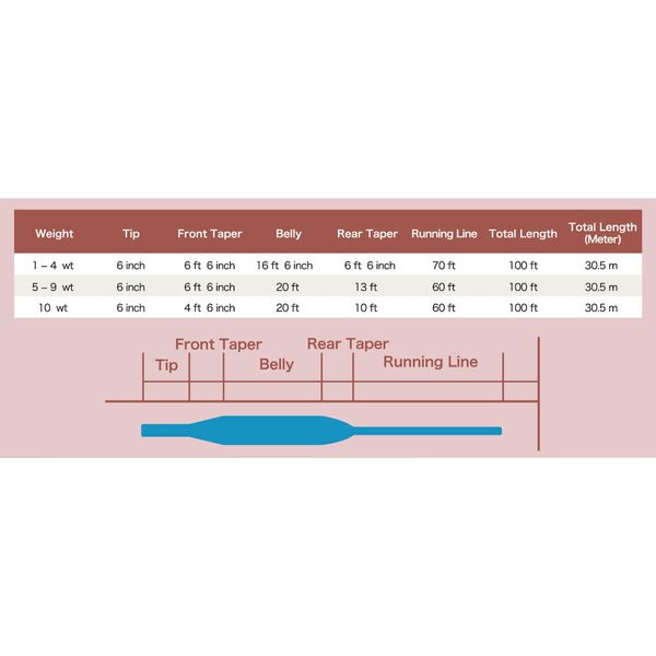 DIRECT FLY LINE WF 3 F #3 Weight Forward Floating 100ft(30.5m) (Orange)