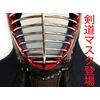 kendo mask