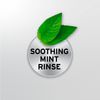 Orajel Soothing Toothache Rinse, Mint, 16 Fl.Oz