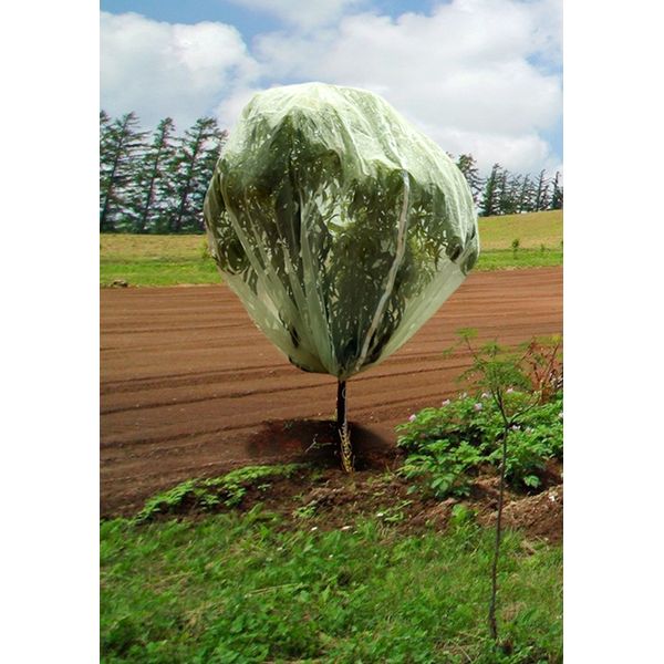 Tierra Garden 50-3540 Haxnicks 9.8' x 9.8' Fruit Tree Cover, Easy to Use, Cover and Protect Plants from Harsh Weather, Animals, and Pests