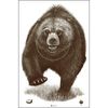 Alaska State Parks Bear Target, 100 Pack, Shooting Targets, Paper Targets