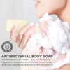 Lucas + Zoe Fresh Essence Antiseptic Bar Soap - 4 Ounce Moisturizing Body Soap Bar Made With Natural Ingredients Like Mediterranean Olive Oil, Coconut Oil, & Aegean Sea Salt - Made In Greece