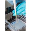 DNA Fingerprinting by Restriction Enzyme Patterns,Group Size for 8 Gels