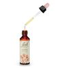 Bach Original Flower Remedy Holly 20 ml
