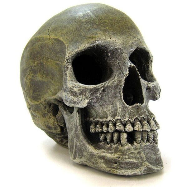 Blue Ribbon Pet Products Human Skull Aquarium Decoration Ornament