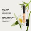 bareMinerals Original Liquid Mineral Concealer 6ml Dark 5N