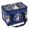 Magical Lunch Bags Designed by Lisa Parker (Hocus Pocus)