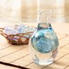 Sum glass cold sake carafe (Blue) 300ml (japan import)