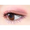 Excel CX03 Real Close Shadow, Puff Sleeve, Nuance Color, Eyeshadow Palette, 4 Colors, 3 Texture (Glossy, Glitter, Matte)