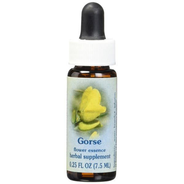 Flower Essence Services Gorse Dropper, 0.25 Ounce