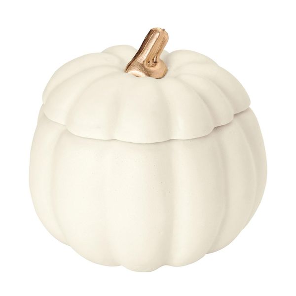 Tokyodo Decoration Pumpkin with Lid, White, Φ3.9 x H3.9 inches (10 cm), 1 Pack HW002400-001