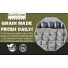 Rye Berry Grain Spawn Jars | Fully Sterilized | 12-Pack of Jars