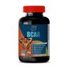 muscle increaser - BCAA 3000MG - leucine 1500 mg 1 BOTTLE