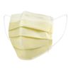 McKesson Procedure Mask Pleated 50 per Box 91-2101