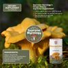Wild Chanterelle Mushroom Dietary Supplement