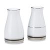 Noritake Austin Platinum Salt and Pepper