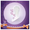 Always Dailies Normal Pantyliners, Pack of 20