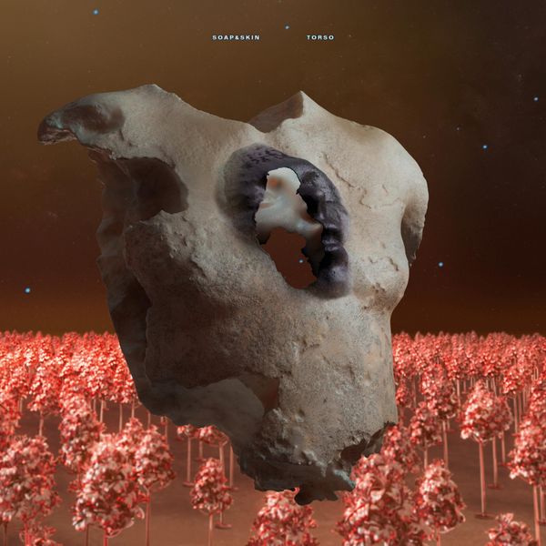 TORSO [VINYL]