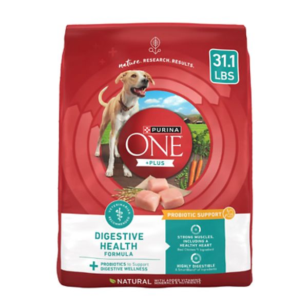 Purina ONE Plus Digestive Health Dry Dog Food High Protein Chicken, 31.1 lb