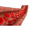 Cayenne pepper - CHOLESTEROL RELIEF NATURAL FORMULA - immune support tablets -2B