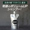 BAOBAB Shampoo x 1 (01)