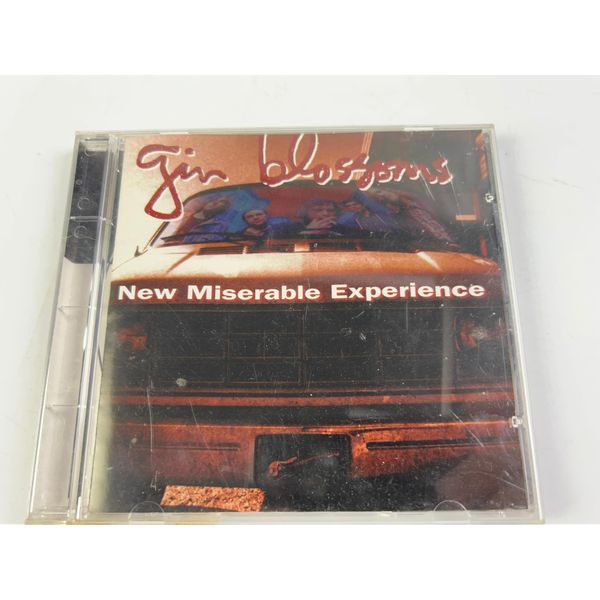 New Miserable Experience