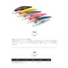 Jackson (Jackson) Lure G Control G cki-1 Japanese Anchovy.