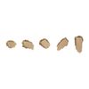 Jane Iredale PurePressed Base SPF 20 Ricarica, Latte, 9,9 g