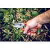 LOWE Lion Pruning Shears Strong Type 9104