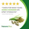 NaturesPlus ActiZyme - 180 Vegetarian Capsules - Gut Health Supplement, Contains Digestive Enzymes, Probiotics, Aminogen, Bioperine - Gluten-Free - 90 Servings