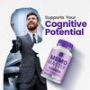 (1 Pack) Memo Master Supplement Capsules – Memo Master All Natural Memory