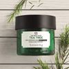 Body shop overnight mask tea tree 75ml