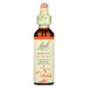 Bach Original Flower Remedies, Mimulus - Face Your Fears - Natural Homeopathic Flower Essence for Emotional Balance - Vegan, Gluten Free, Sugar Free - 20mL Dropper