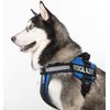 Dogline Medical Alert Removable Patches, Small/Medium