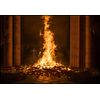Notre-Dame in Flammen [Blu-ray]