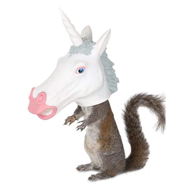 Mcphee Archie, Squirrel Feeder Unicorn Head