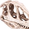 Oumefar Simulated Animal Skeleton Simulated Model Dinosaur Skull for Teaching Prop