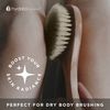 Hydrea London Dry Body Brush – Premium Exfoliating Dry Skin Brush Cactus Bristle, Vegan Dry Brush Cellulite Remover, Exfoliating Body Scrubber for Lymphatic Drainage, FSC® Certified Beechwood