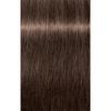 Indola Xpress Color 60ml - 6.38