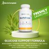 BenfoBoost: Glucose Support Formula Supplement