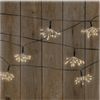 Ideaworks Starburst String Lights