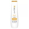 Biolage Professional Smoothproof Smoothing Shampoo 250ml