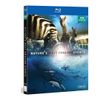 Nature's Most Amazing Events (BD) [Blu-ray]